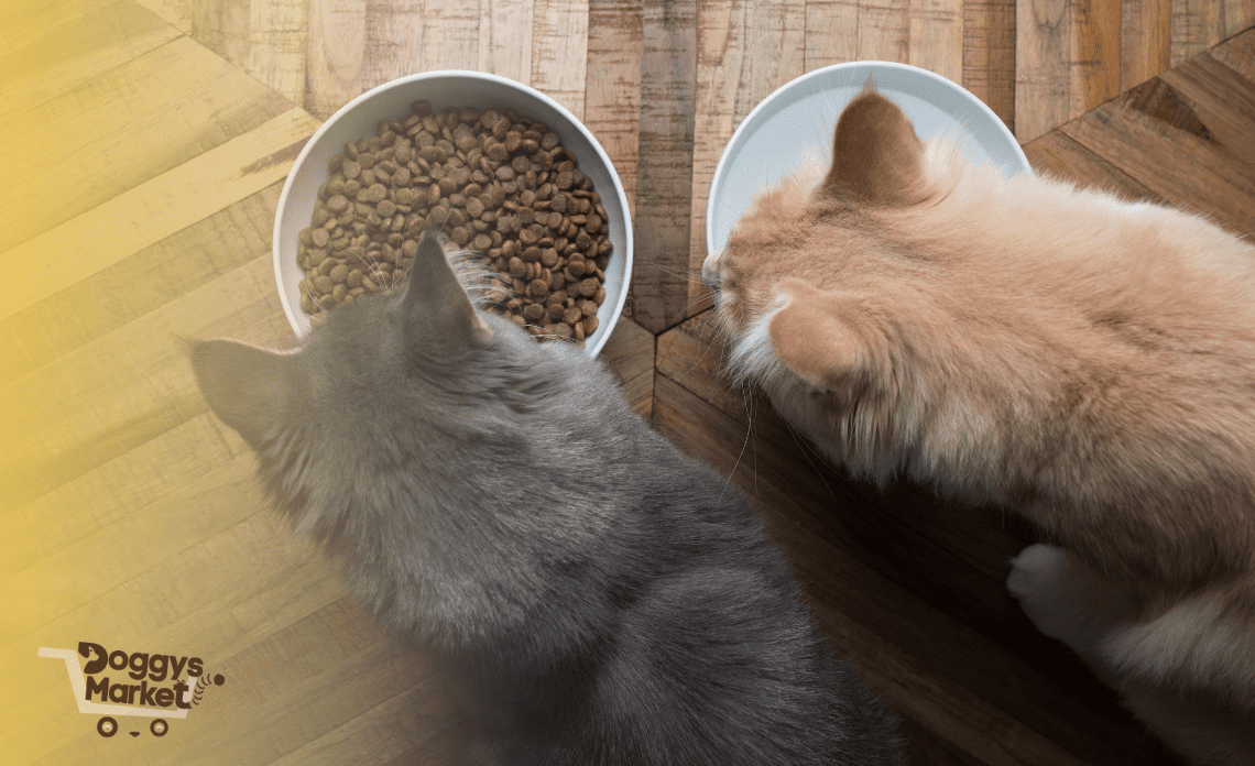 Comida Húmeda para Gatos - Guía Completa y Mejores Marcas